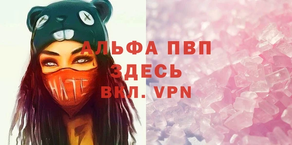 ПСИЛОЦИБИНОВЫЕ ГРИБЫ Осинники