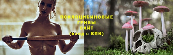 2c-b Няндома