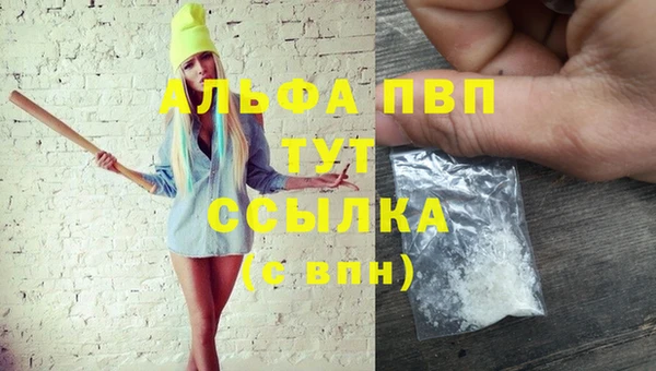 бошки Белокуриха
