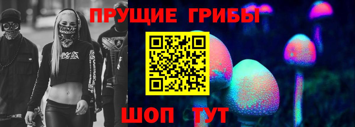 продажа наркотиков  Вход с VPN  Псилоцибиновые грибы мицелий  Сердобск  Галлюциногенные грибы Magic Shrooms 